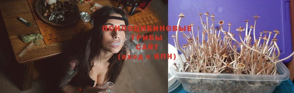 амф Лабытнанги