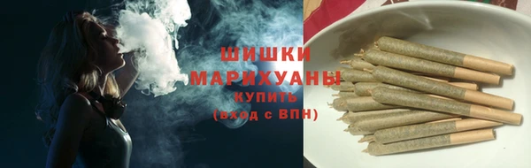тгк Лагань