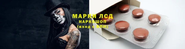 амф Лабытнанги