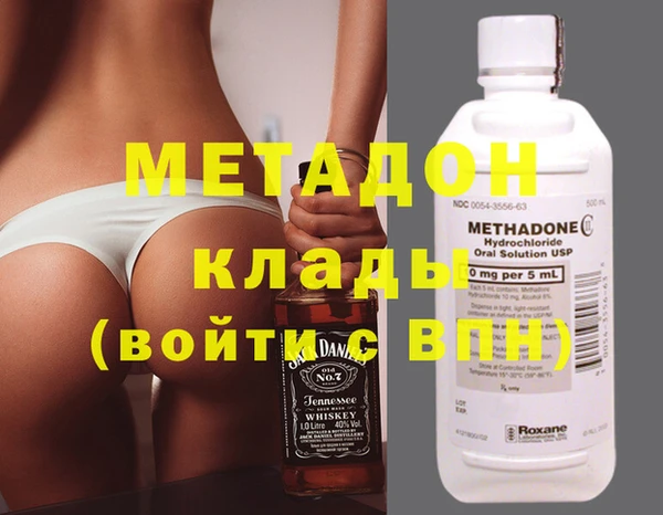 индика Вяземский